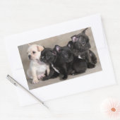 Engelse bulldog puppy hond groet Stickers (Envelop)