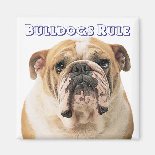 Engelse Bulldog Puppy Hond Magneet