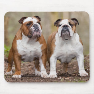 Engelse Bulldog Puppy Honden Muismat
