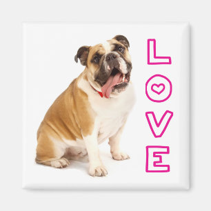 Engelse Bulldog Puppy Hondenliefde Magneet