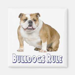Engelse Bulldog Puppy Hondenliefde Magneet