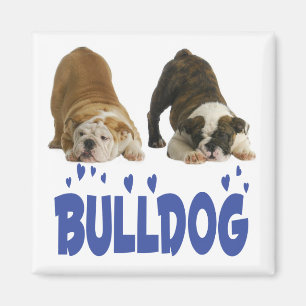 Engelse Bulldog Puppy Hondenliefde Magneet