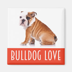 Engelse Bulldog Puppy Hondenliefde Magneet