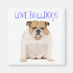 Engelse Bulldog Puppy Hondenliefde Magneet