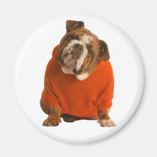 Engelse Bulldog Puppy Hondenliefde Magneet