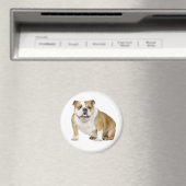 Engelse Bulldog Puppy Hondenmagneet Magneet (Insitu (Vaatwasser))
