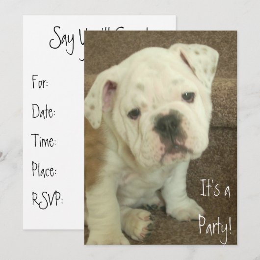 Engelse Bulldog Puppy Invitation Party Kaart (Voorkant / Achterkant)