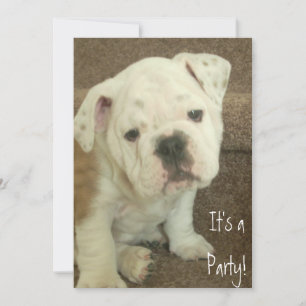 Engelse Bulldog Puppy Invitation Party Kaart