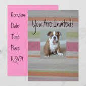 Engelse bulldog Puppy Invitations Kaart (Voorkant / Achterkant)
