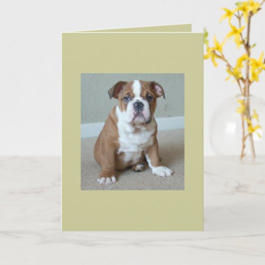 Engelse Bulldog Puppy Kaart (Gele Bloem)