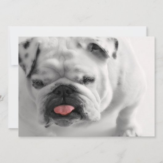 Engelse bulldog Puppy Kaart (Voorkant)