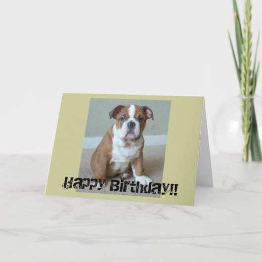 Engelse bulldog Puppy Kaart (Voorkant)