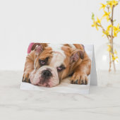 Engelse bulldog puppy kaart (Gele Bloem)