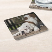 Engelse bulldog Puppy Kartonnen Onderzetters (Schuin)