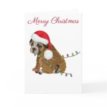 Engelse Bulldog Puppy Kerstmis