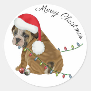 Engelse Bulldog Puppy Kerstmis Ronde Sticker