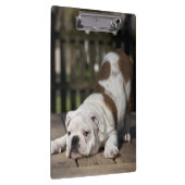 Engelse bulldog Puppy Klembord (Rechts)