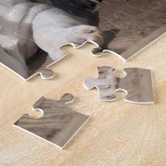 Engelse bulldog Puppy Legpuzzel (Zijkant)