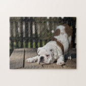 Engelse bulldog Puppy Legpuzzel (Horizontaal)