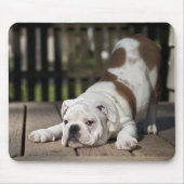 Engelse bulldog Puppy Muismat (Voorkant)