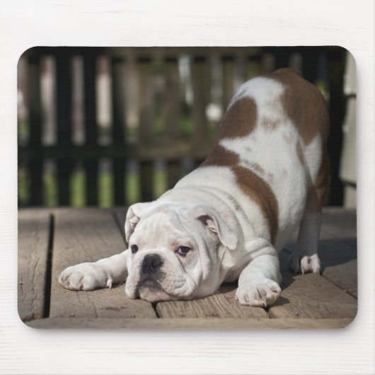 Engelse bulldog Puppy Muismat (Voorkant)