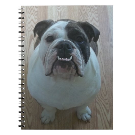 Engelse bulldog puppy notebook notitieboek (Voorkant)