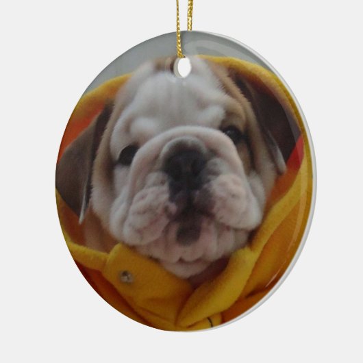 Engelse Bulldog Puppy Ornament (Links)