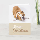 Engelse Bulldog Puppy Photo met Kerstmis Aangepast Feestdagen Kaart (Voorkant)