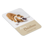 Engelse Bulldog Puppy Photo met Kerstmis Aangepast Magneet (Rechterzijde)