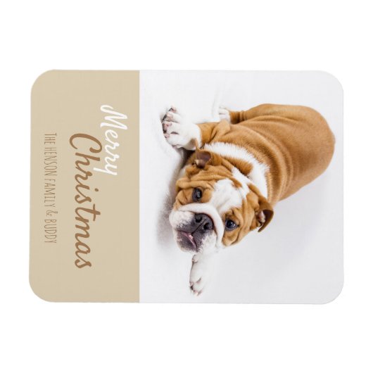 Engelse Bulldog Puppy Photo met Kerstmis Aangepast Magneet (Horizontaal)