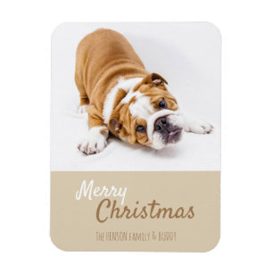 Engelse Bulldog Puppy Photo met Kerstmis Aangepast Magneet