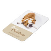 Engelse Bulldog Puppy Photo met Kerstmis Aangepast Magneet (Linkerzijde)