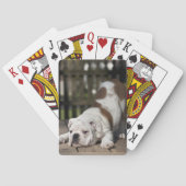Engelse bulldog Puppy Pokerkaarten (Achterkant)