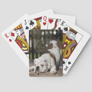 Engelse bulldog Puppy Pokerkaarten