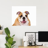 Engelse bulldog Puppy Poster (Thuiskantoor)