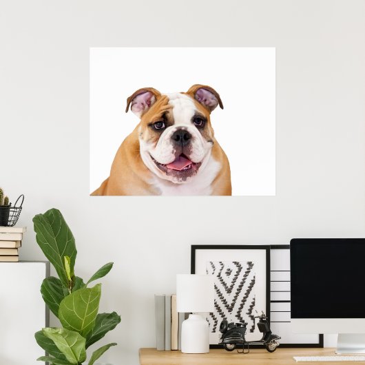 Engelse bulldog Puppy Poster (Thuiskantoor)
