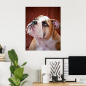 Engelse bulldog Puppy Poster (Thuiskantoor)