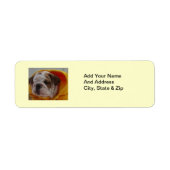 Engelse bulldog Puppy Return-adreslabels Etiket (Voorkant)