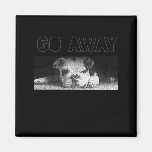 Engelse Bulldog Puppy Social Distance gaat weg Magneet