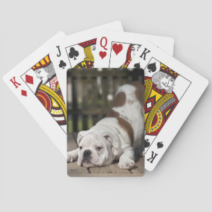 Engelse bulldog Puppy Speelkaarten