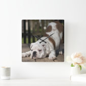 Engelse bulldog Puppy Vierkante Klok (Huis)