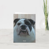 Engelse bulldog puppy Vrolijke kerstkaarten Feestdagen Kaart (Achterkant)