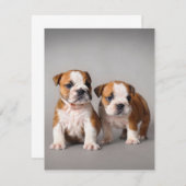 Engelse Bulldog Pups | Paar Lieve Bulldog Kaart (Voorkant / Achterkant)