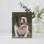 Engelse Bulldog Reindeer Briefkaart (Staand voorkant)