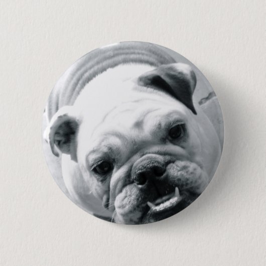 Engelse Bulldog Ronde Button 5,7 Cm (Voorkant)