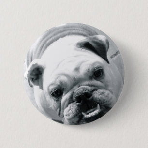 Engelse Bulldog Ronde Button 5,7 Cm