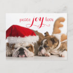 Engelse bulldog Santa en rendiersinters Feestdagenkaart<br><div class="desc">kersthonden - engelse bulldog santa en rudolph op witte achtergrond © en ® Bigstock® - Alle rechten voorbehouden.</div>