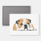 Engelse Bulldog Schattig Leuk Dier Slaapkalm Magneet (Voorkant / Achterkant)