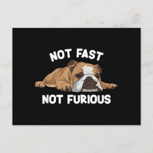 Engelse Bulldog slaapt niet snel niet woedend plez Feestdagenkaart