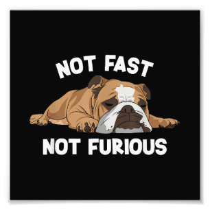 Engelse Bulldog slaapt niet snel niet woedend plez Foto Afdruk